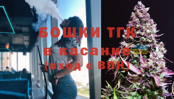 экстази Ельня