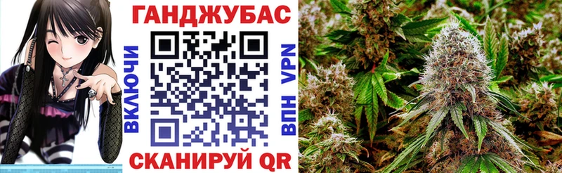 Шишки марихуана план закладка Хотьково